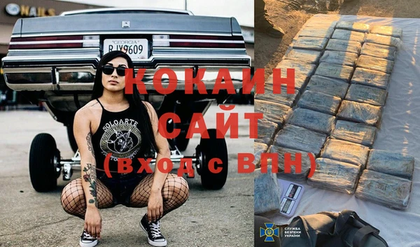 мяу мяу мука Алзамай