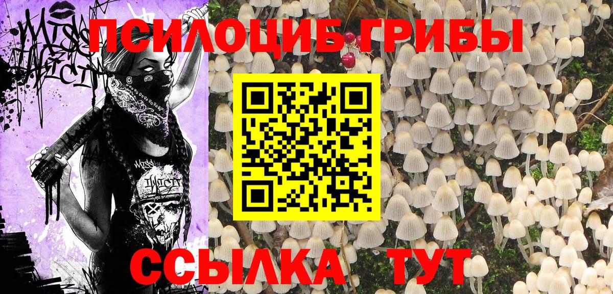 Галлюциногенные грибы мицелий  Галлюциногенные грибы Cubensis  Асино  Вход с VPN 