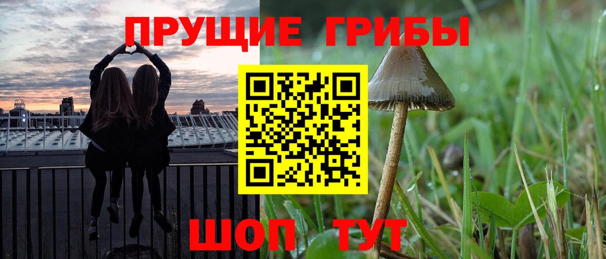 Галлюциногенные грибы ЛСД Асино
