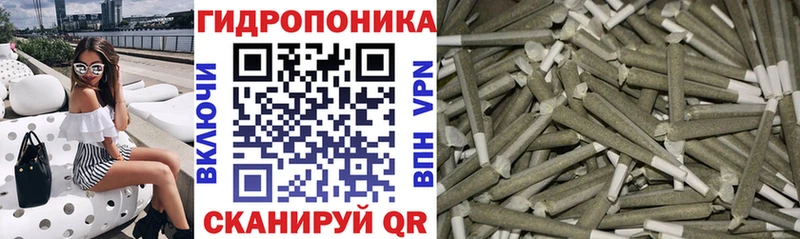 наркотики  Асино  Шишки марихуана планчик 