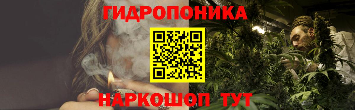Конопля SATIVA & INDICA  Вход с VPN  Шишки марихуана конопля  Асино 
